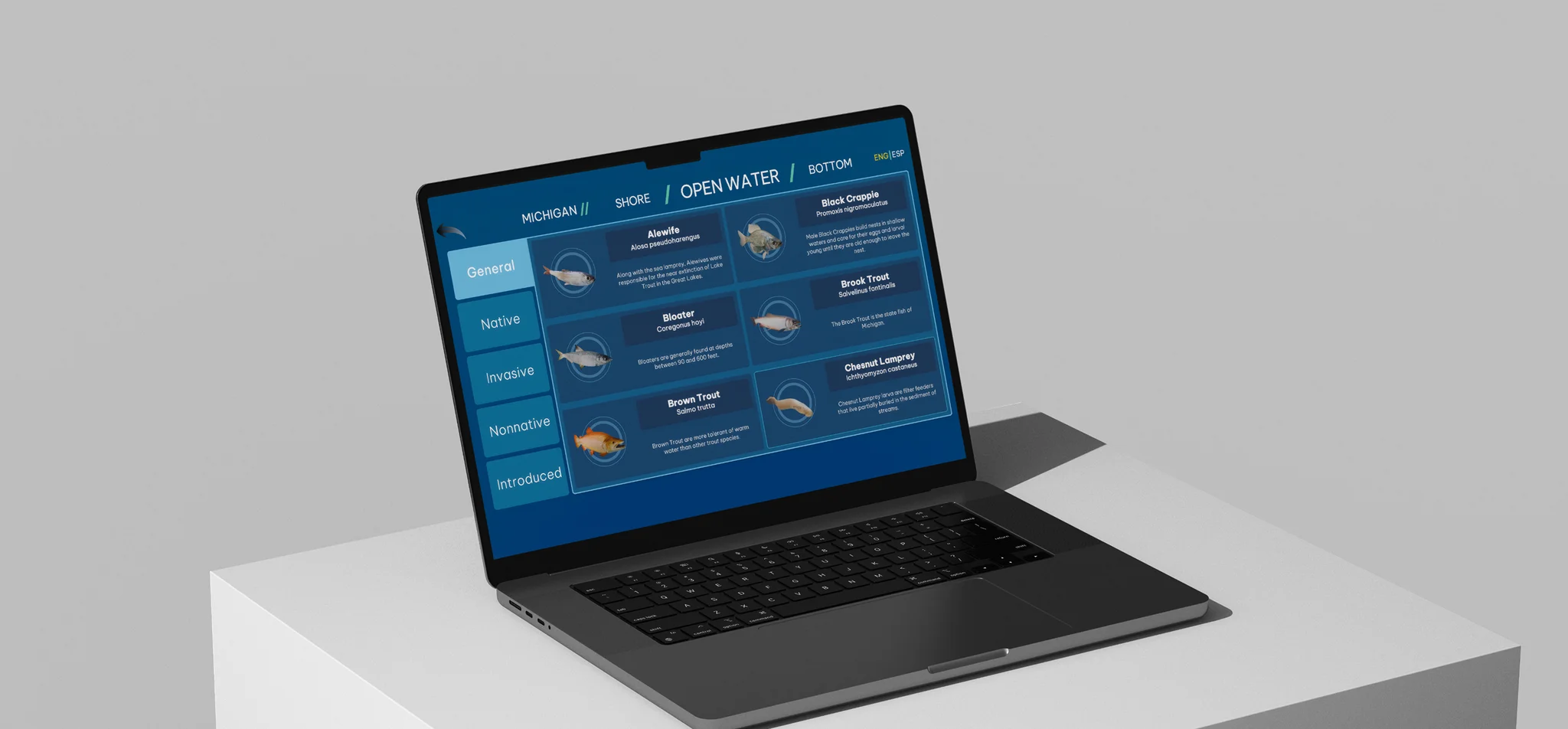 Vention Edtech case