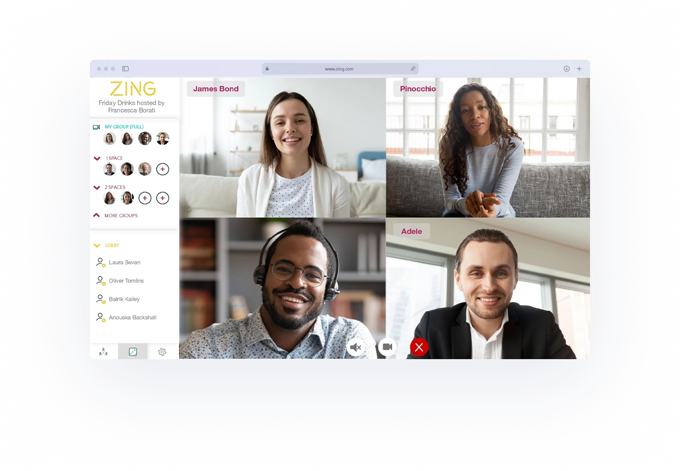 Visuality Zing case