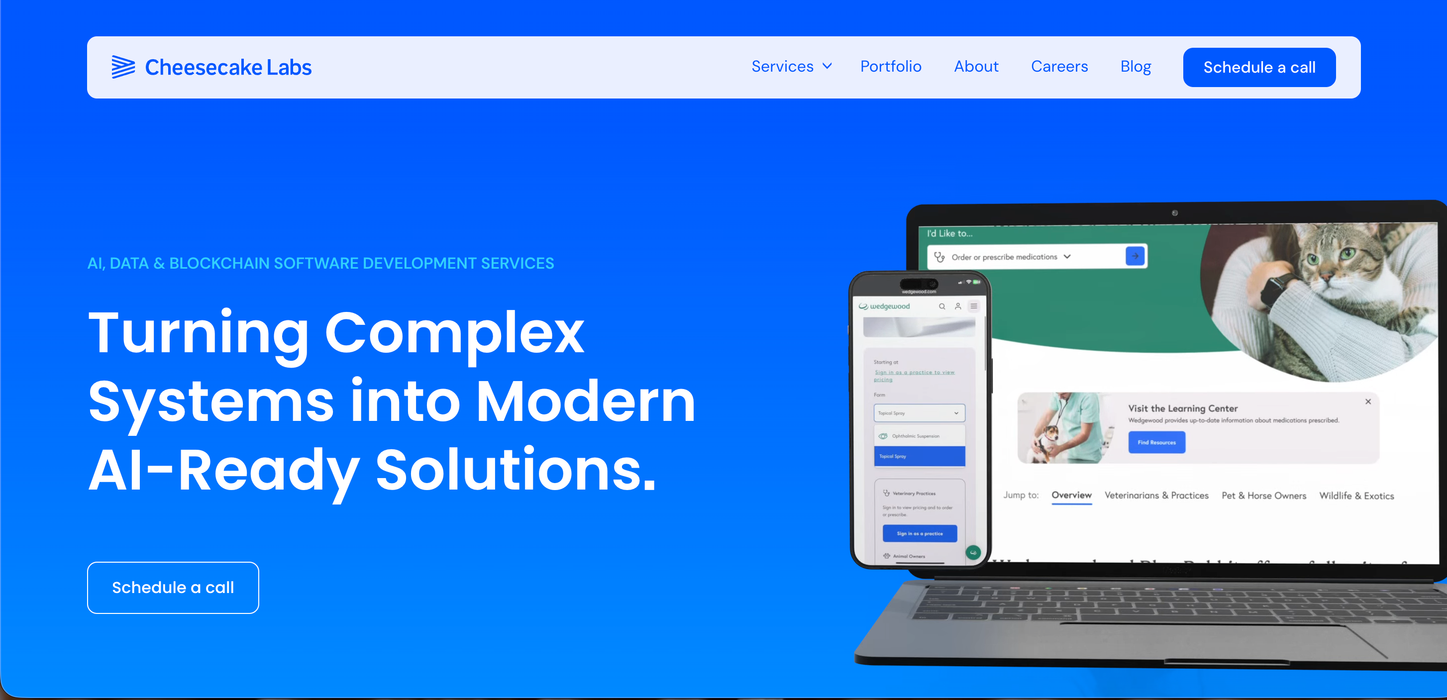 cheesecake labs page.png