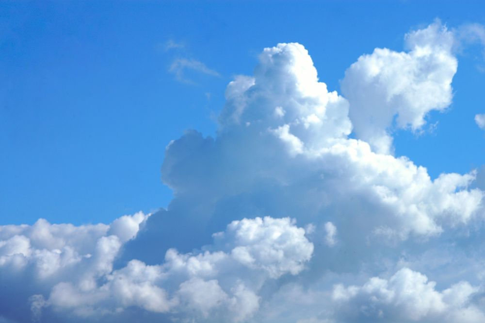 blog post image 4