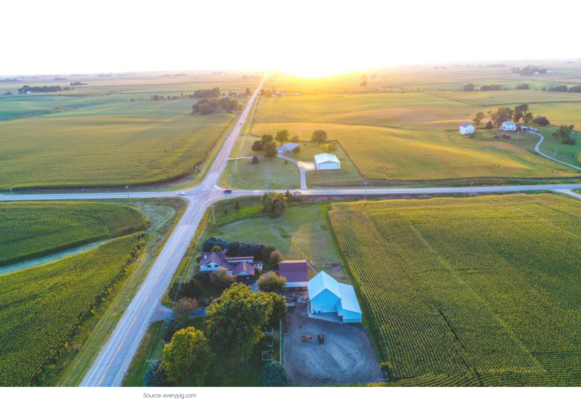 saas-platform-architecture--everypig-rural-farm.png